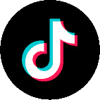 Link to https://www.tiktok.com/@leetessierteam